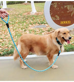 Nylon Harness Collar Leash Three-Piece Set