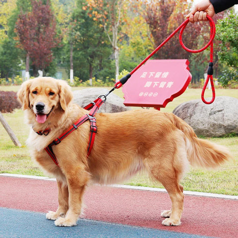 Nylon Harness Collar Leash Three-Piece Set