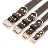 Professional Leather Dog Collars Adjustable