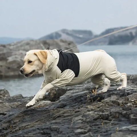 Waterproof Dog Jacket for Large Breeds
