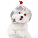 Halloween Pet Wig