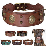 Durable Wide Dog Collar