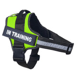 Reflective Personalized Dog Harness