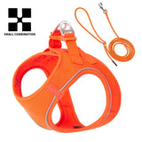 Dog Harness And Leash Set for Small Medium Dogs