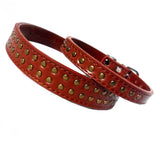 Brown Stud Dog Collar