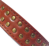 Brown Stud Dog Collar