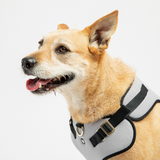 Aquafleece Dog Harness - Grey