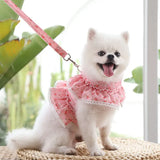 Lace Floral Printed Pet Harness
