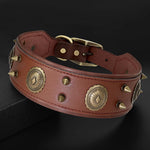 Durable Wide Dog Collar