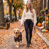 Dog Halloween Pajamas