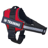 Reflective Personalized Dog Harness