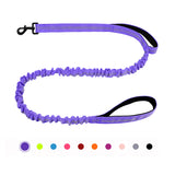 Bungee Dog Leash