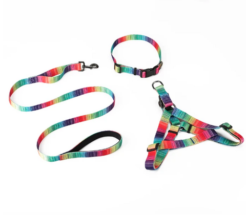 Matching Harness Leash & Collar Set