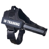 Reflective Personalized Dog Harness