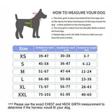 Reflective Personalized Dog Harness