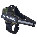 Reflective Personalized Dog Harness
