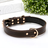 Professional Leather Dog Collars Adjustable