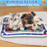 Water Sensory Pet Play Mat