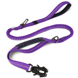 Reflective Shock Absorbing Dog Leashes with Car Seatbelt