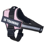 Reflective Personalized Dog Harness