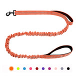 Bungee Dog Leash