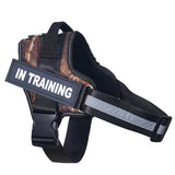 Reflective Personalized Dog Harness