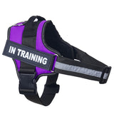 Reflective Personalized Dog Harness