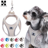 Dog Harness And Leash Set for Small Medium Dogs