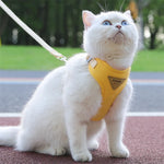 Cozy Soft Cat Harness and Leash for Walking