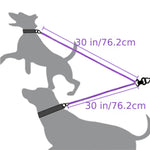 Reflective Dual Dog Leash - No Tangle