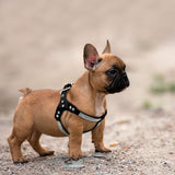 Soft Suede Leather Puppy Dog Harness Rhinestone