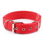 Nylon Dog Collar