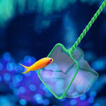 3 inch Fish Tank Fish Net Square Aquarium Squid Net