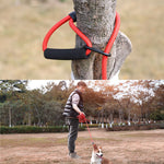 Rock Climbing Rope Dog Leash