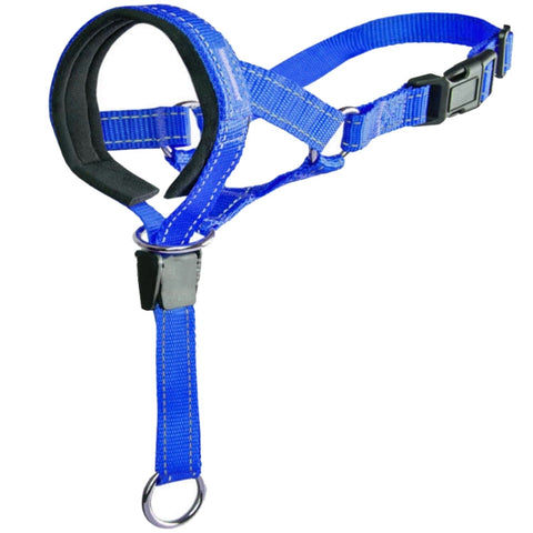 Pet Anti-Bite Leash Size: XL(Blue)
