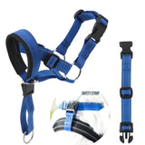 Pet Anti-Bite Leash Size: XL(Blue)