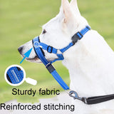 Pet Anti-Bite Leash Size: XL(Blue)