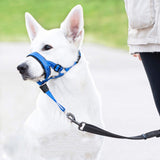 Pet Anti-Bite Leash Size: XL(Blue)