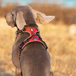Truelove  Reflective Nylon Dog Harness No Pull Adjustable