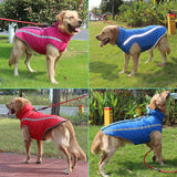Waterproof Dog Jacket