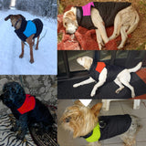 Waterproof Dog  Vest Jacket