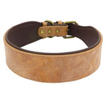 Wide Leather Dog Collar