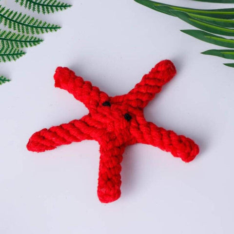 Wiggles Knot Cotton Rope Dog Toy Starfish