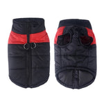 Dog Winter Coat