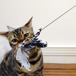 Tantalizing Feathered Fun Cat Stick Toy