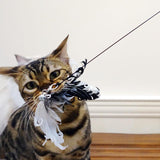 Tantalizing Feathered Fun Cat Stick Toy