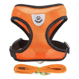 Adjustable Pet Harness
