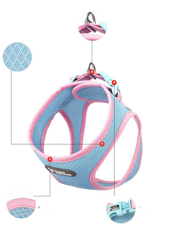 Pet Adventure Chest Harness And Leash Combo