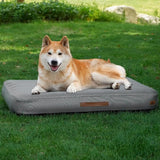 Indoor and outdoor inflatable dog bed