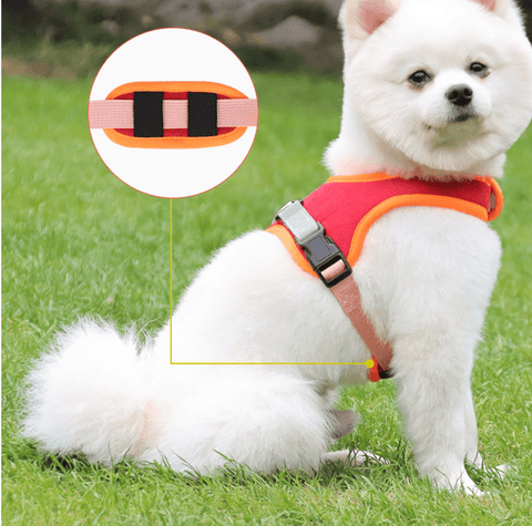 Luxury Suede Dog Harness Set